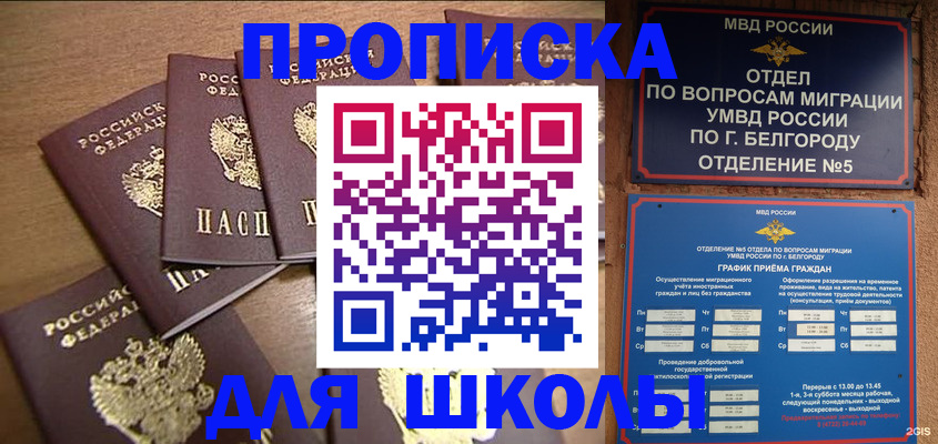 прописка гарантия в Королёве